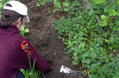 Bahçedeki araziyle çalış.