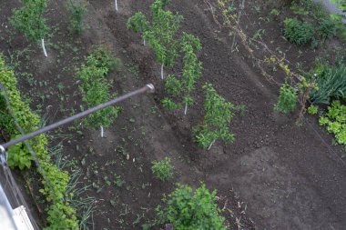 Bahçede yataklar ve çiçekler