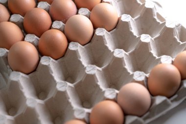 Güvenli depolama için hücrelerde yumurtalar