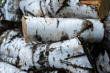 Kütükler büyük sayılarda birbiri üzerine yatar.