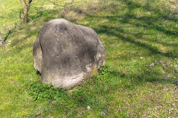 Piedra Yace Sobre Hierba — Foto de Stock