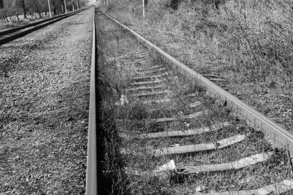 高架鉄道 白黒写真 — ストック写真