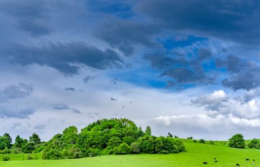 Dağ çayırları yağmurdan sonraki açık bir günde