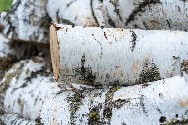 Dzienniki Leżą Sobie Dużych Ilościach — Zdjęcie stockowe