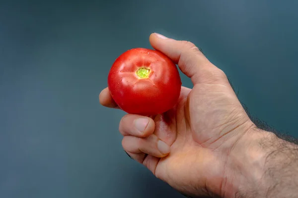 Tomate Rojo Mano Sobre Fondo Negro —  Fotos de Stock