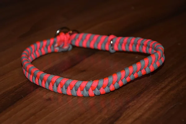 Beautiful Collar Out Paracord Each Breed Dog — Stock Photo, Image