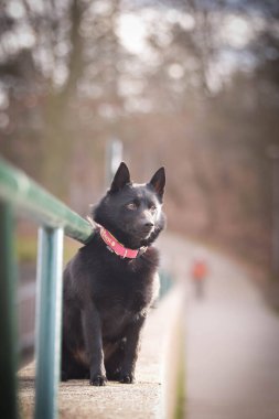 Duvarda oturan genç bir kadın var. Çok güzel bir yüzü var. Çok sabırlı bir model..