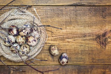 Yuvadaki Paskalya bıldırcın yumurtaları ve kırsal ahşap arka planda dallar. Kopyalama alanı olan üst görünüm.