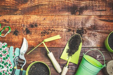 Bahçecilik aletleri, toprak ve eldivenler kırsal ahşap masada. Bahçe konseptinde bahar, üst manzara, düz kompozisyon.