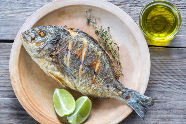 Grilled Dorade Royale Fish on the plate — Stock Photo, Image