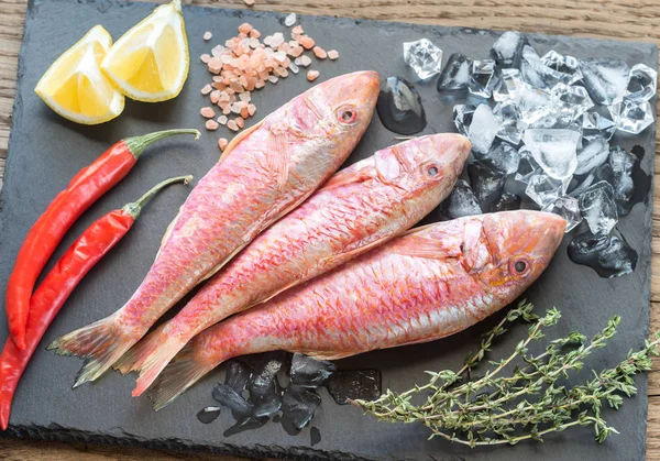Raw red mullet with ingredients — Stock Photo, Image