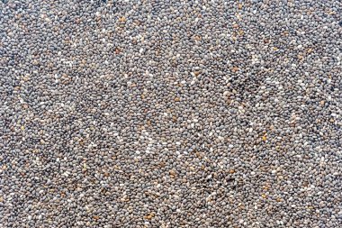 Chia tohum: Ana sayfa görünümü