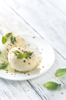 Taze fesleğen yaprakları ile mozzarella