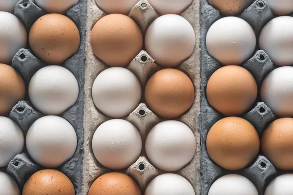 鶏の卵携帯卵トレイ — ストック写真