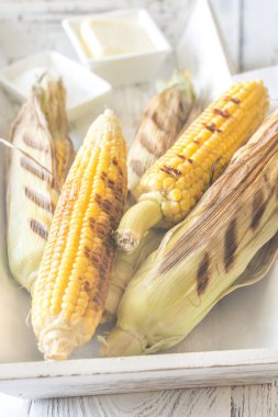 Ahşap tepsi üzerinde ızgara corncorbs