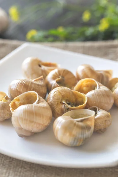 Bowl of cooked snails — Stock Photo, Image