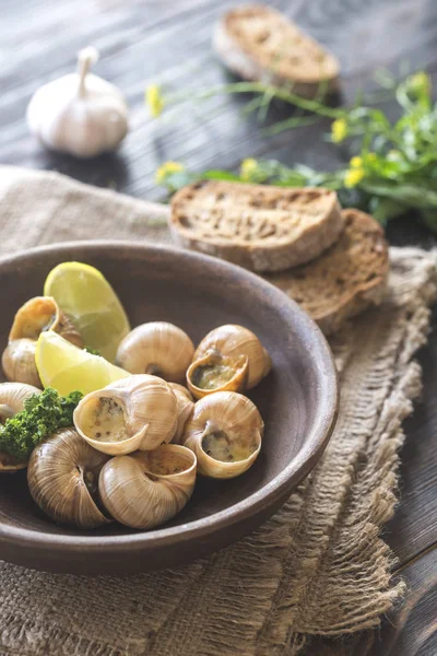 Bowl of cooked snails — Stock Photo, Image