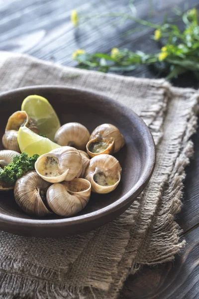 Bowl of cooked snails — Stock Photo, Image