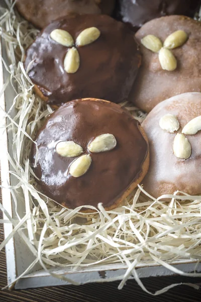 Gingerbread cakes on the tray — Stock Photo, Image