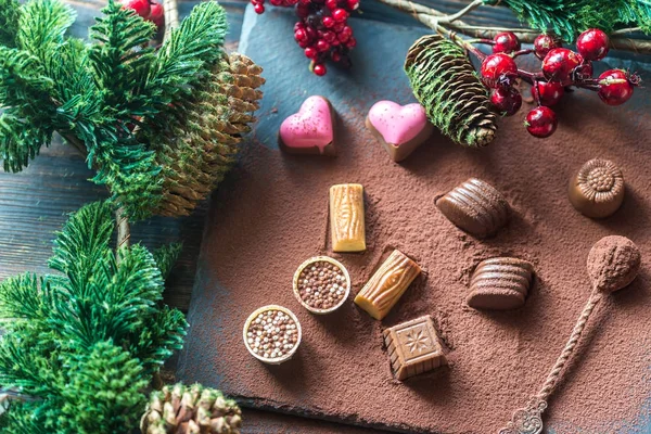 Choklad godis med kakao och julgran gren — Stockfoto