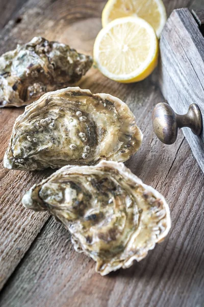 Raw oysters on the wooden background — Stock Photo, Image