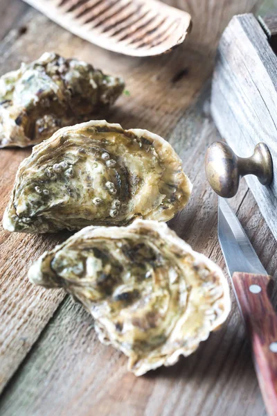 Raw oysters on the wooden background — Stock Photo, Image