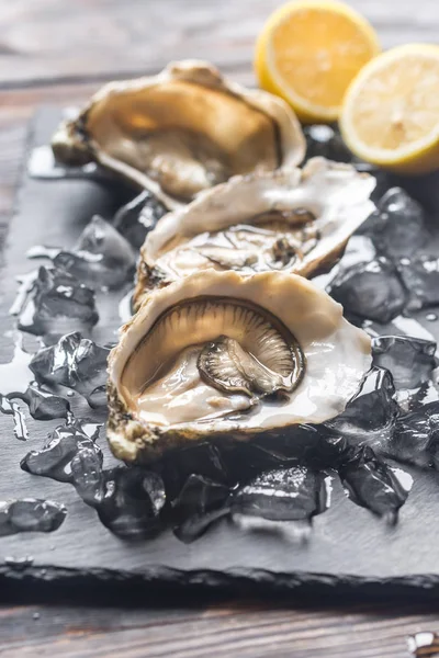 Raw oysters on the black stone board — Stock Photo, Image