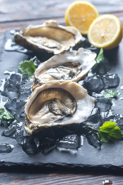 Raw oysters on the black stone board — Stock Photo, Image