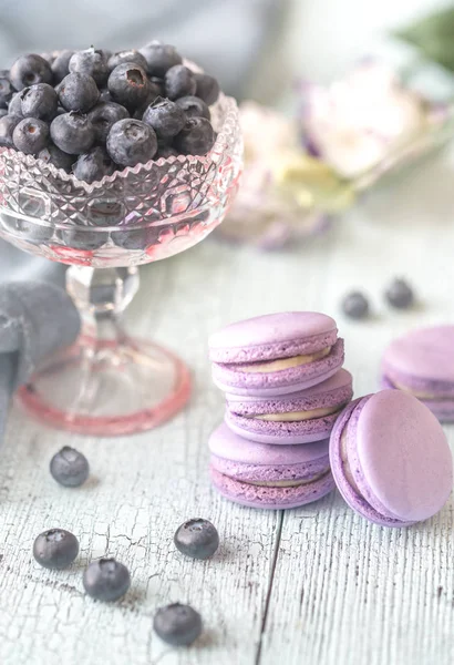 Macarons with fresh blueberries — Stock Photo, Image