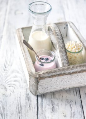 Süt ürünleri çeşitleri