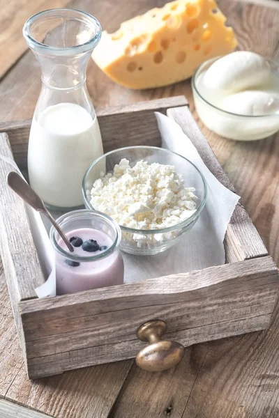 Sortiment an Milchprodukten — Stockfoto