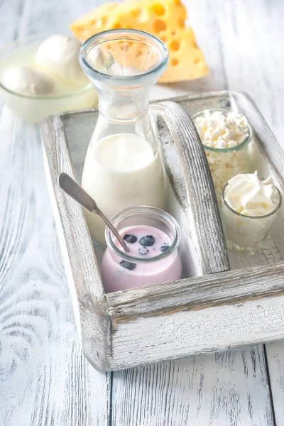 Sortiment an Milchprodukten — Stockfoto