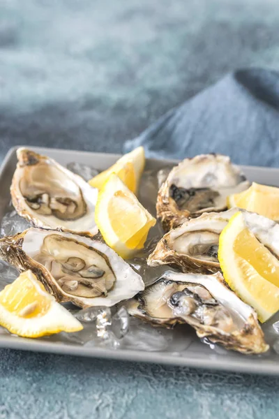 Plaka üzerinde çiğ istiridye