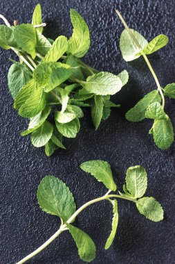 Koyu arka plan üzerinde taze nane demet