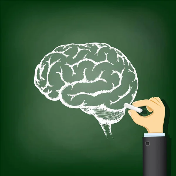 Hand drawing a chalk human brain. — Stock Photo, Image
