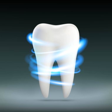Human white tooth. Dentures in stomatology. Stock vector illustr