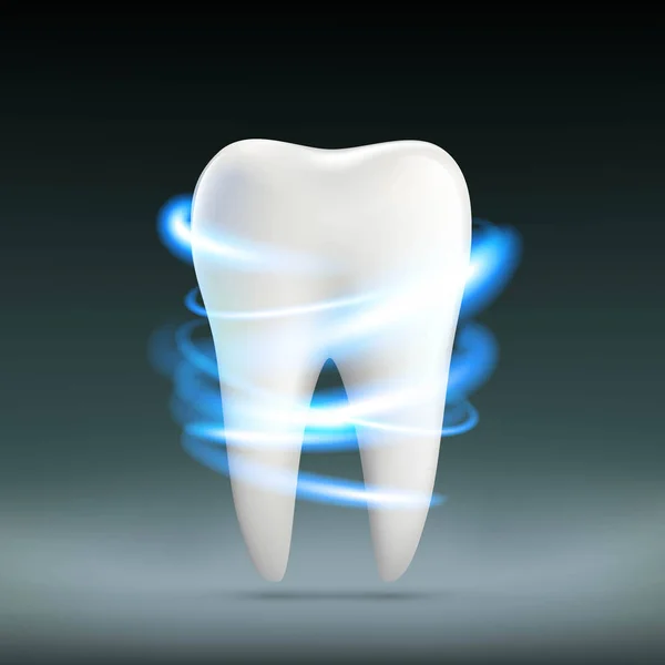 Dente branco humano. Dentaduras em estomatologia. Acções vectoriais illustr — Vetor de Stock