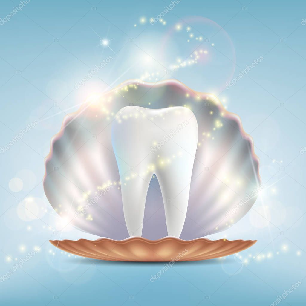 Human tooth in seashell, concept of dental implant and treatment 
