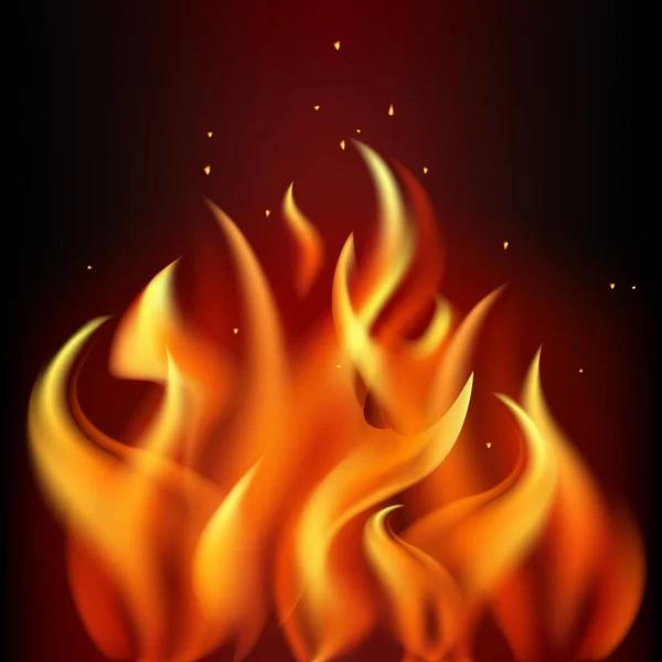 Red burning fire flame on black background — Stock Vector