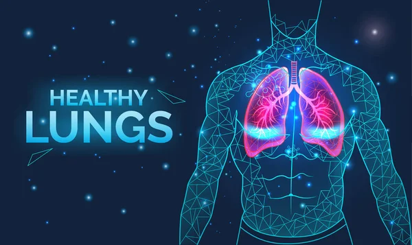 Здоровые легкие, дыхательная система, профилактика заболеваний, баннер с органами человеческого тела, анатомия, дыхание и здравоохранение, векторная иллюстрация . — стоковый вектор