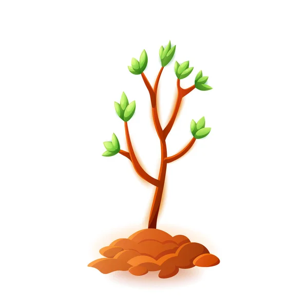Illustration vectorielle jeune arbre isolé sur fond blanc . — Image vectorielle