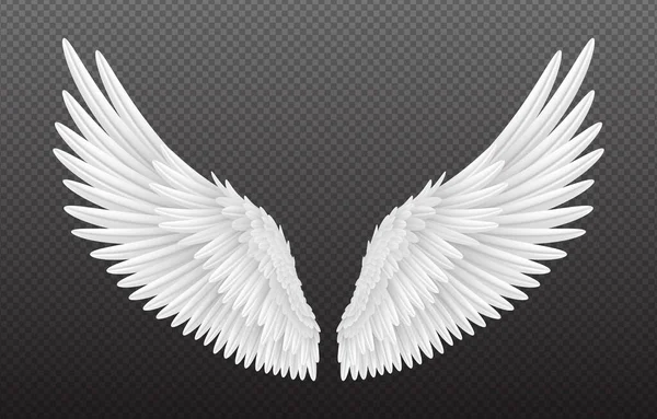 Par de belas asas de anjo branco isolado em fundo transparente, ilustração vetorial 3D realista. Espiritualidade e liberdade —  Vetores de Stock