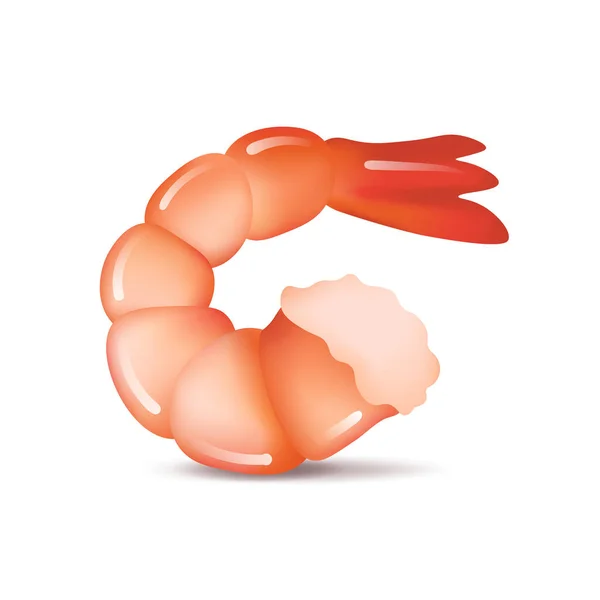 Realistic shrimp icon in flat style, fresh sea food. — Stock Vector