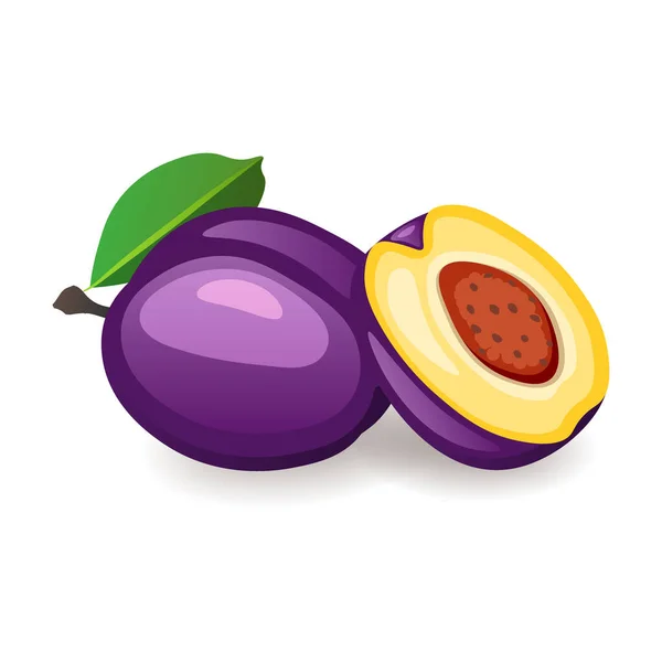 Ciruelas orgánicas frescas aisladas sobre fondo blanco. Deliciosa fruta madura, ilustración vectorial en estilo plano — Vector de stock