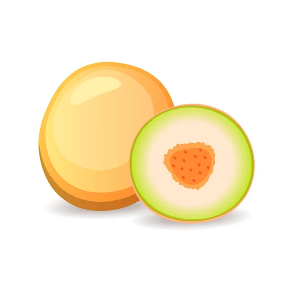 Melón jugoso aislado sobre fondo blanco. Deliciosas frutas tropicales, ilustración vectorial en estilo plano — Vector de stock