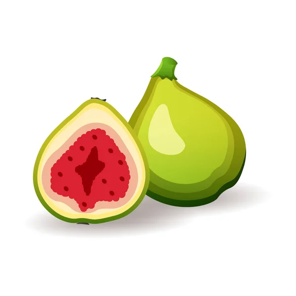 Figos verdes frescos sobre fundo branco, isolados. Frutas tropicais suculentas, ilustração vetorial em estilo plano. Nutrição saudável — Vetor de Stock