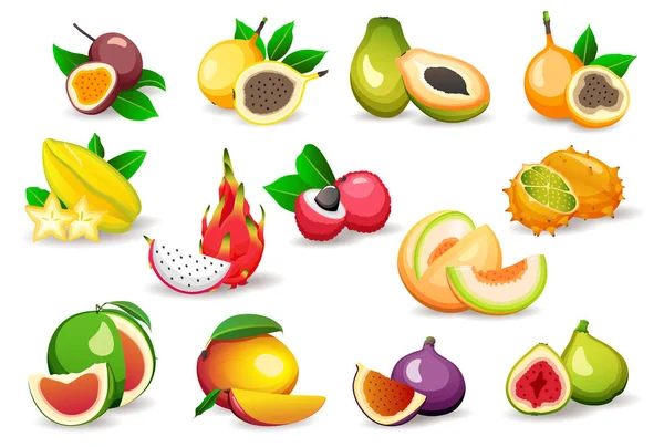 Set von verschiedenen exotischen Früchten isoliert auf weißem Hintergrund, flache Vektorillustrationen. Vegetarisches Essen — Stockvektor