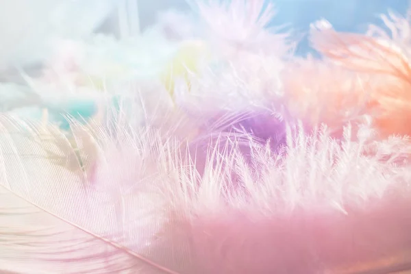 Soft multicolor feather background — Stock Photo, Image