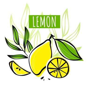 Yapraklarla süslenmiş limonlu turunçgil çizimi. Etiketler, restoran menüsü, pazar etiketi veya başka bir tasarım için el çizimi vektör illüstrasyonu.