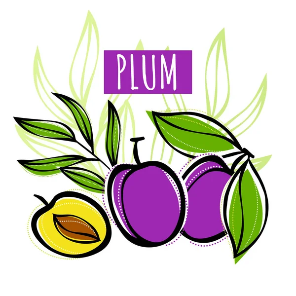 Vector sketch plum fruit decorated with leaves. Hand drawn vector illustration for labels, restaurant menu, market label or package or another design. — Stock Vector